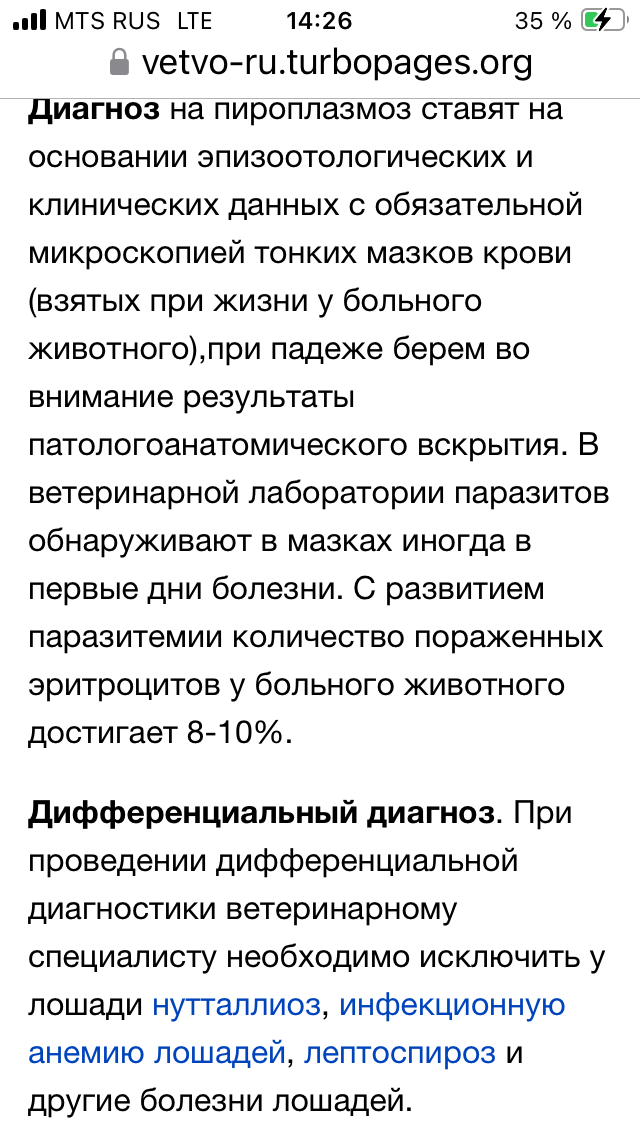 IMG_9587.png