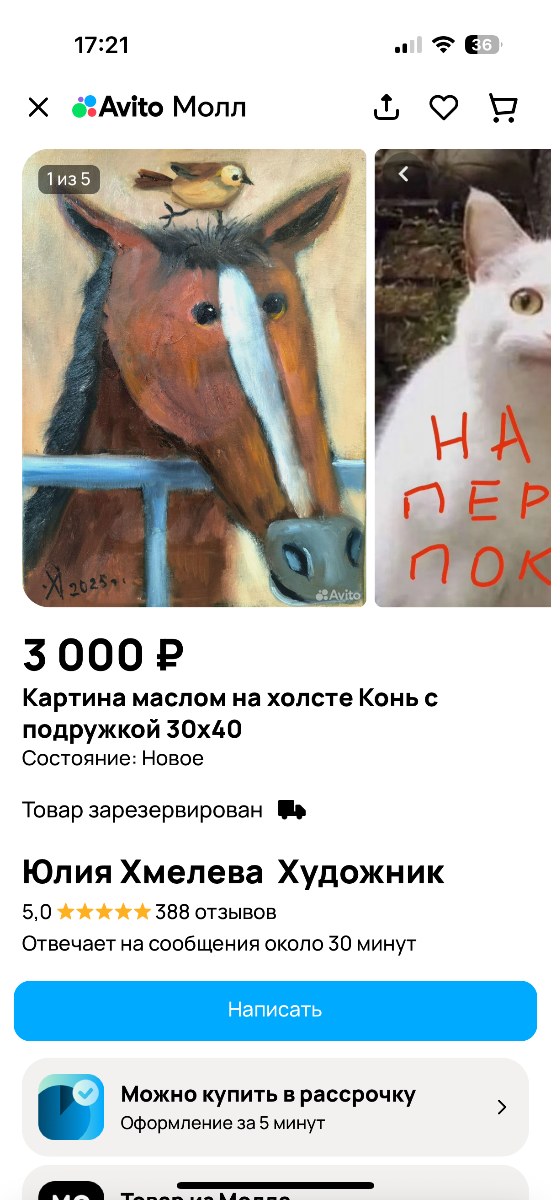 IMG_9690.png