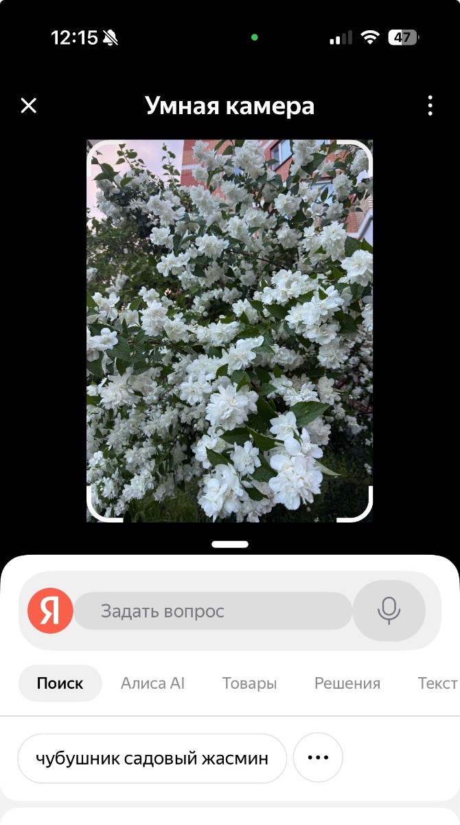 IMG_9718.jpeg