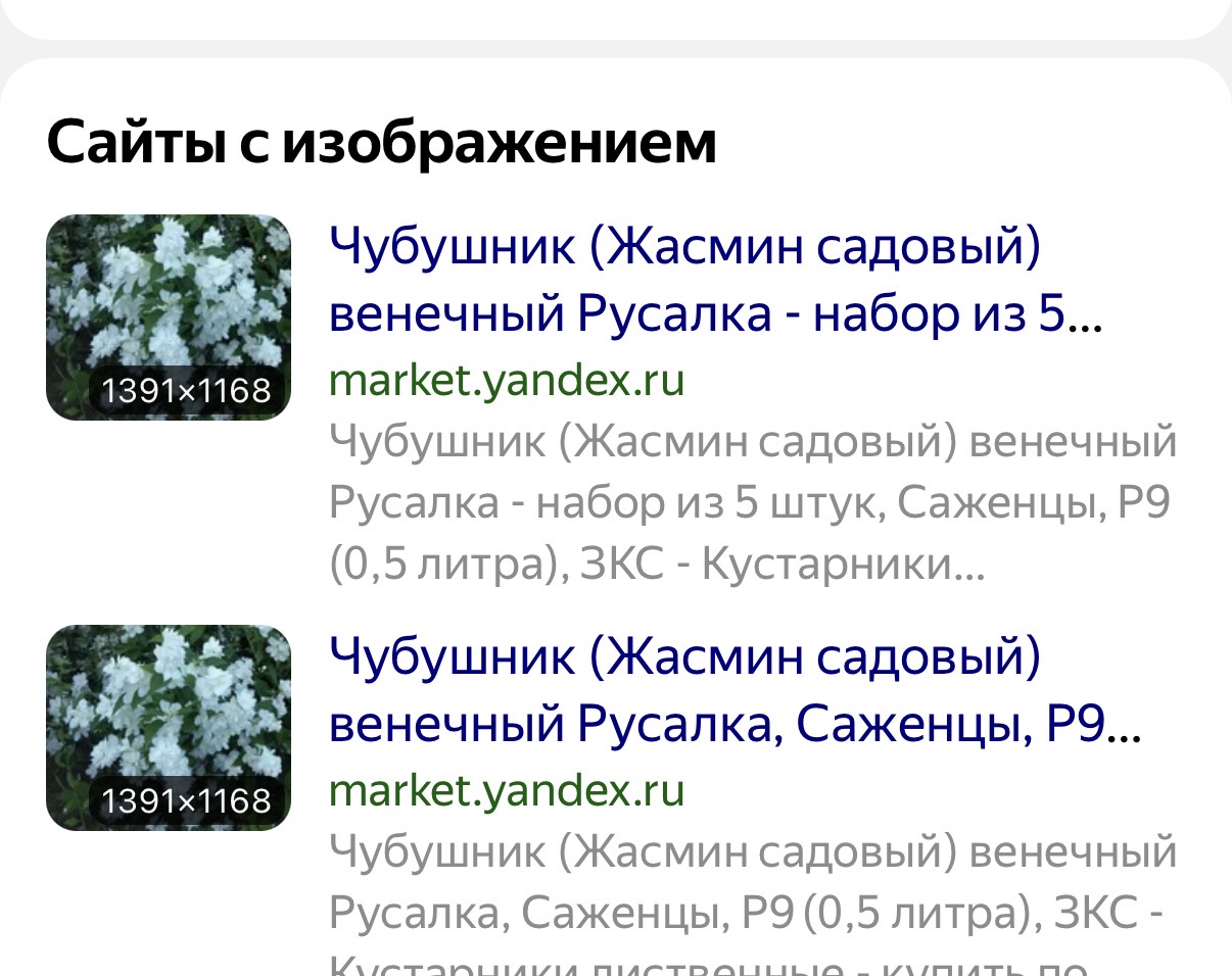 IMG_9719.jpeg