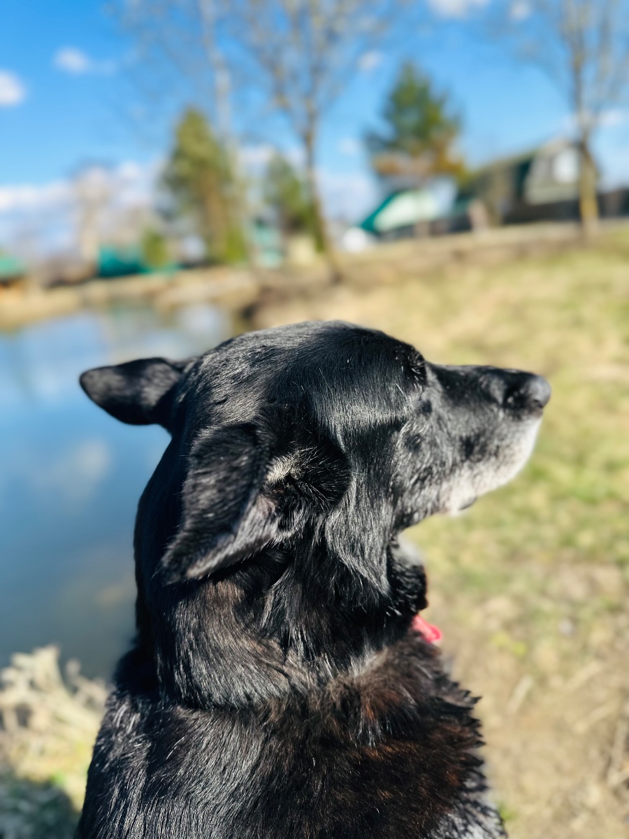 IMG_9736.jpeg