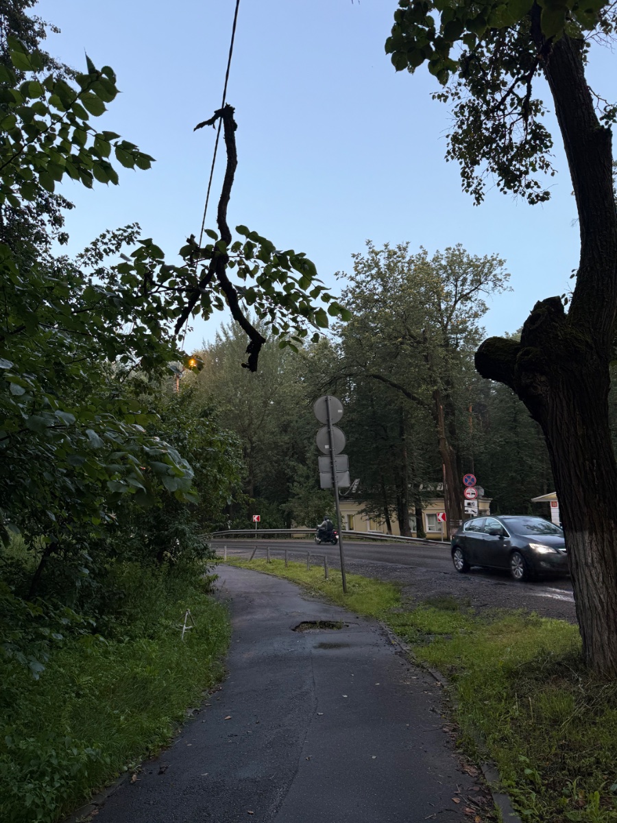 IMG_9746.jpeg