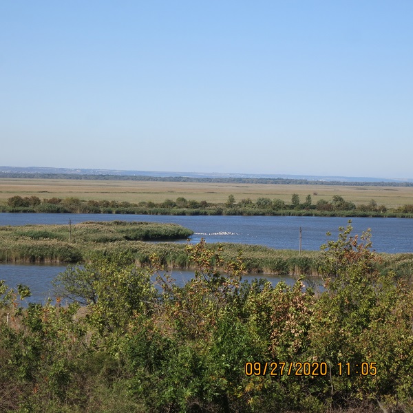 IMG_9800.JPG