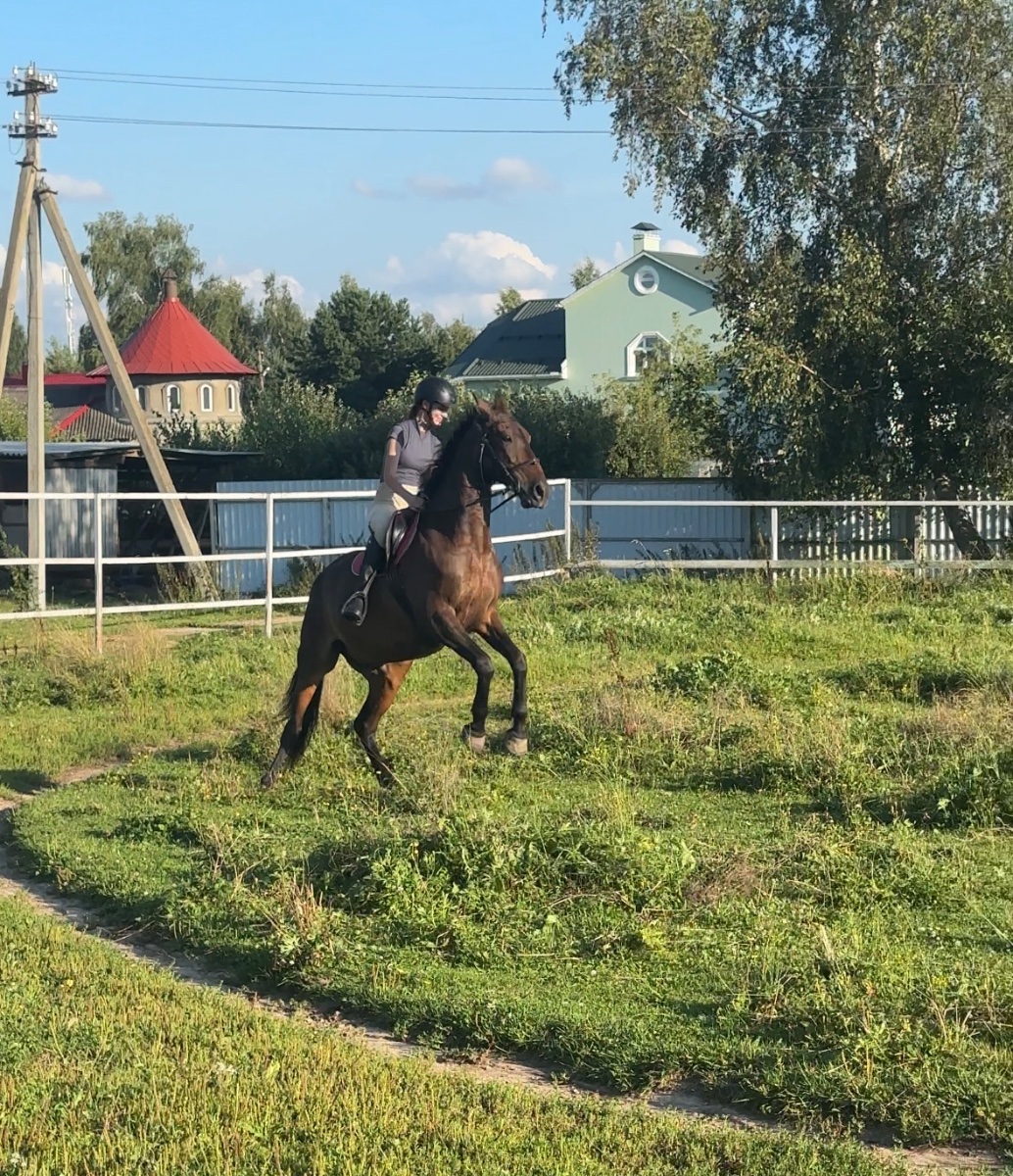 IMG_9806.jpeg