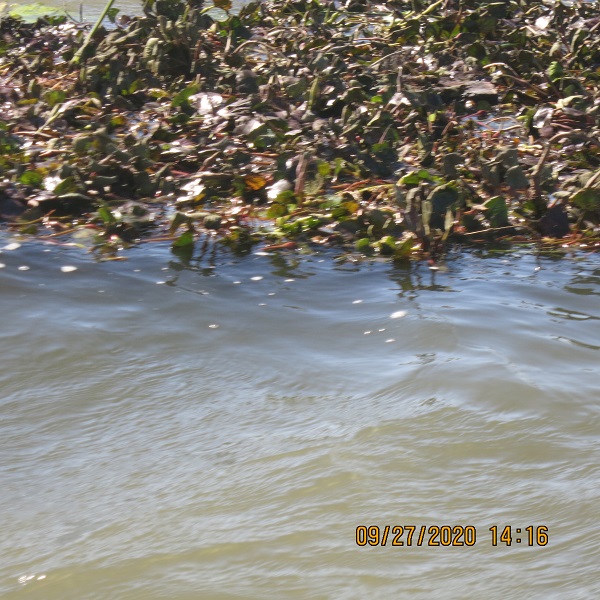 IMG_9811.JPG