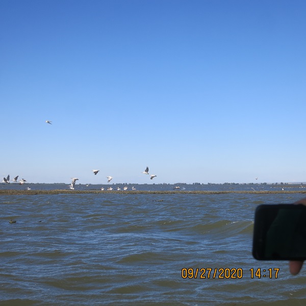 IMG_9815.JPG