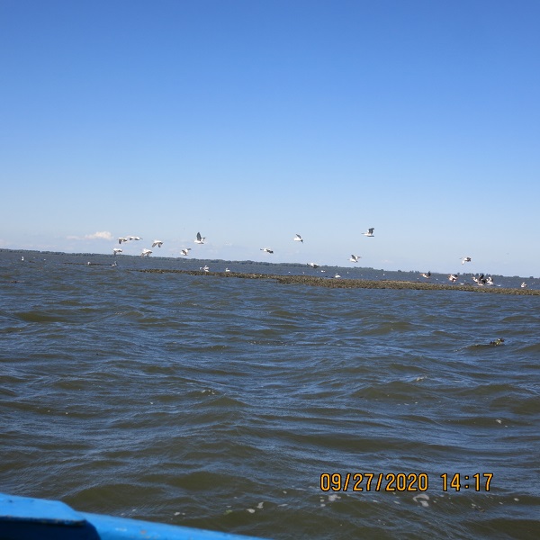 IMG_9816.JPG
