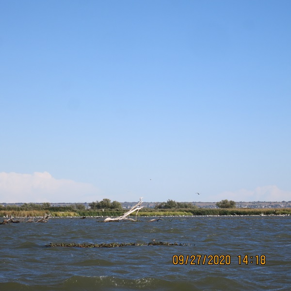 IMG_9820.JPG