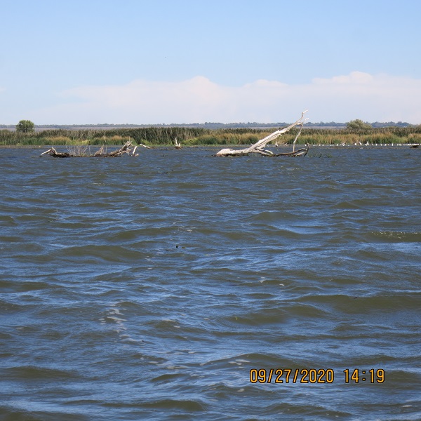 IMG_9822.JPG