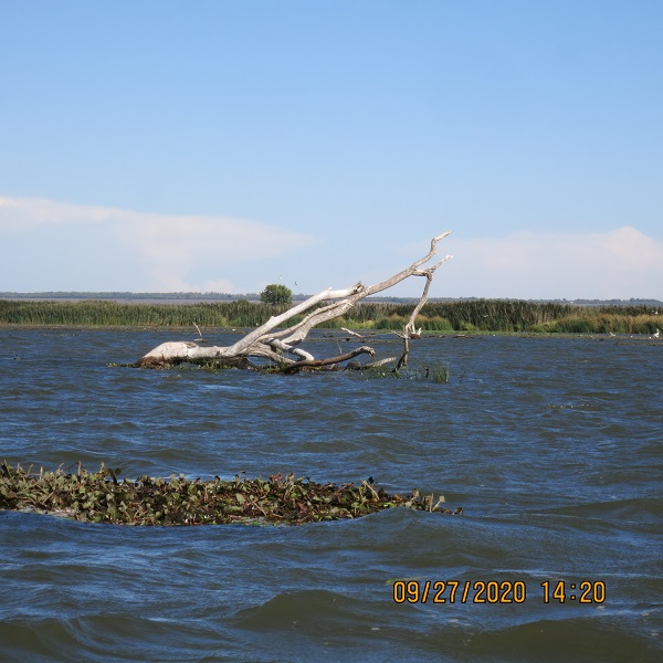 IMG_9824.JPG
