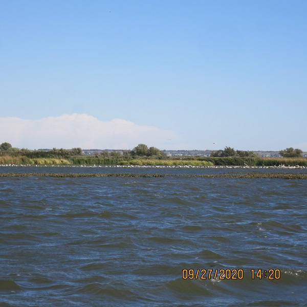 IMG_9825.JPG