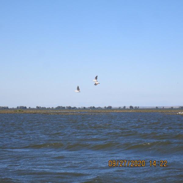 IMG_9829.JPG