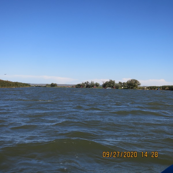 IMG_9833.JPG