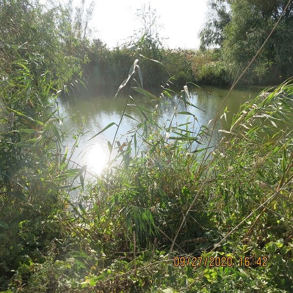 IMG_9840.JPG