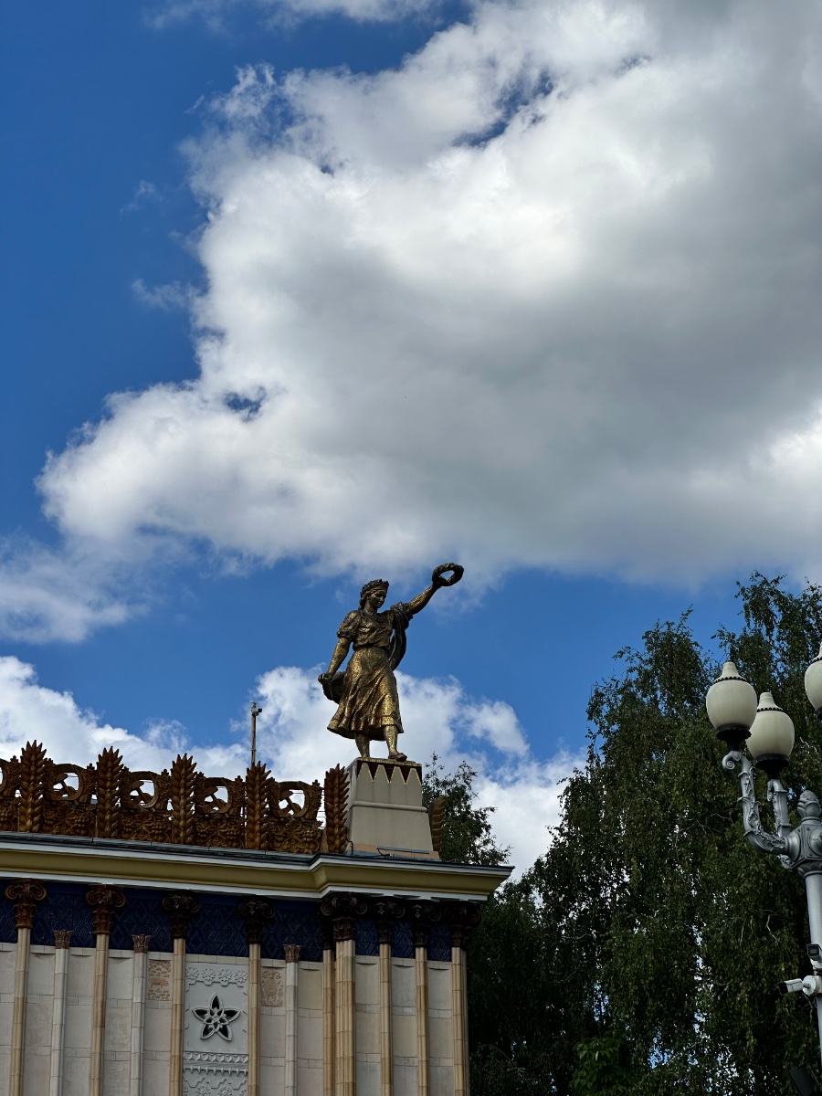 IMG_9842.jpeg