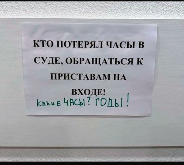 IMG_9860.jpeg