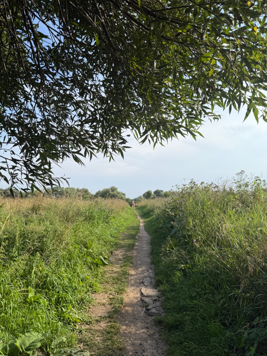 IMG_9919.jpeg