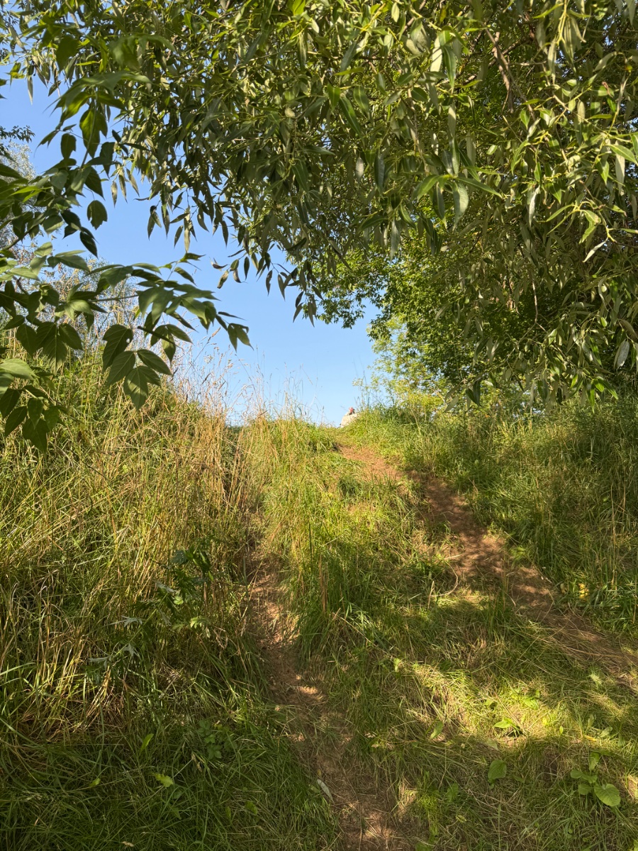 IMG_9929.jpeg