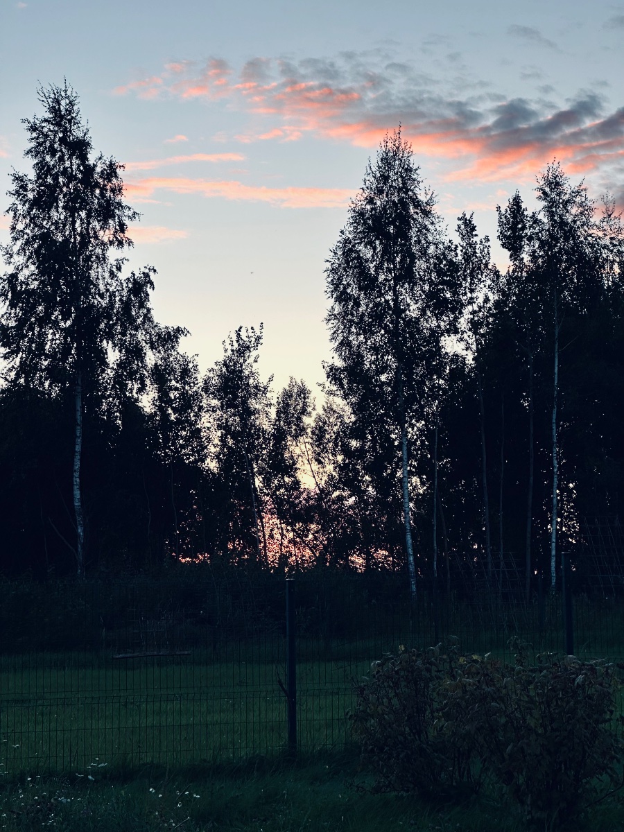 IMG_9940.jpeg