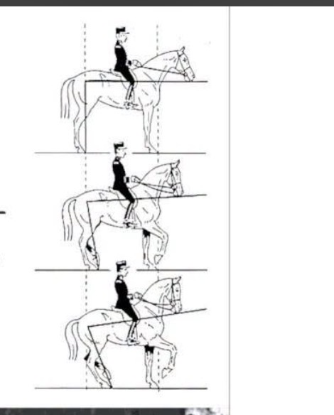 IMG_9956.jpeg