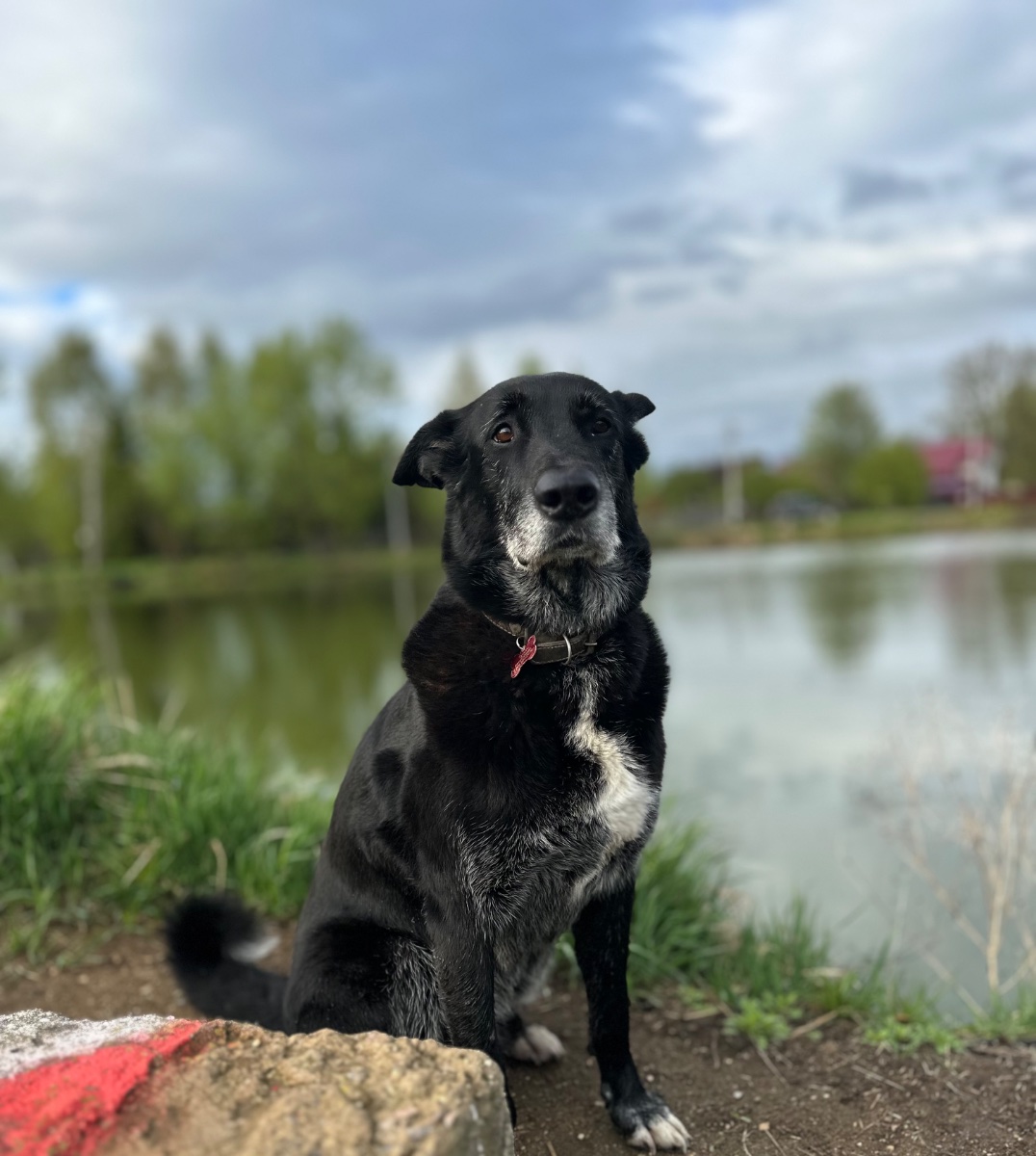 IMG_9970.jpeg
