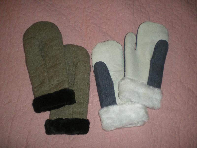 IMGP0015.JPG