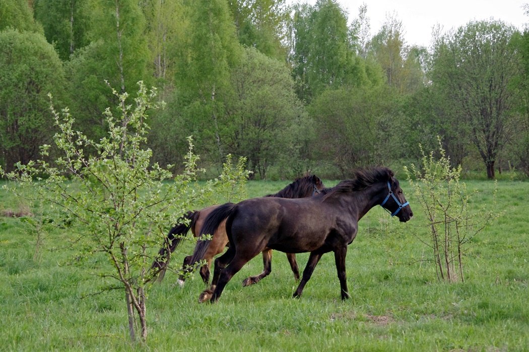 IMGP0080.JPG
