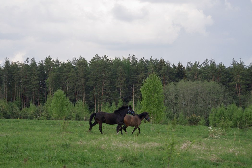 IMGP0103.JPG