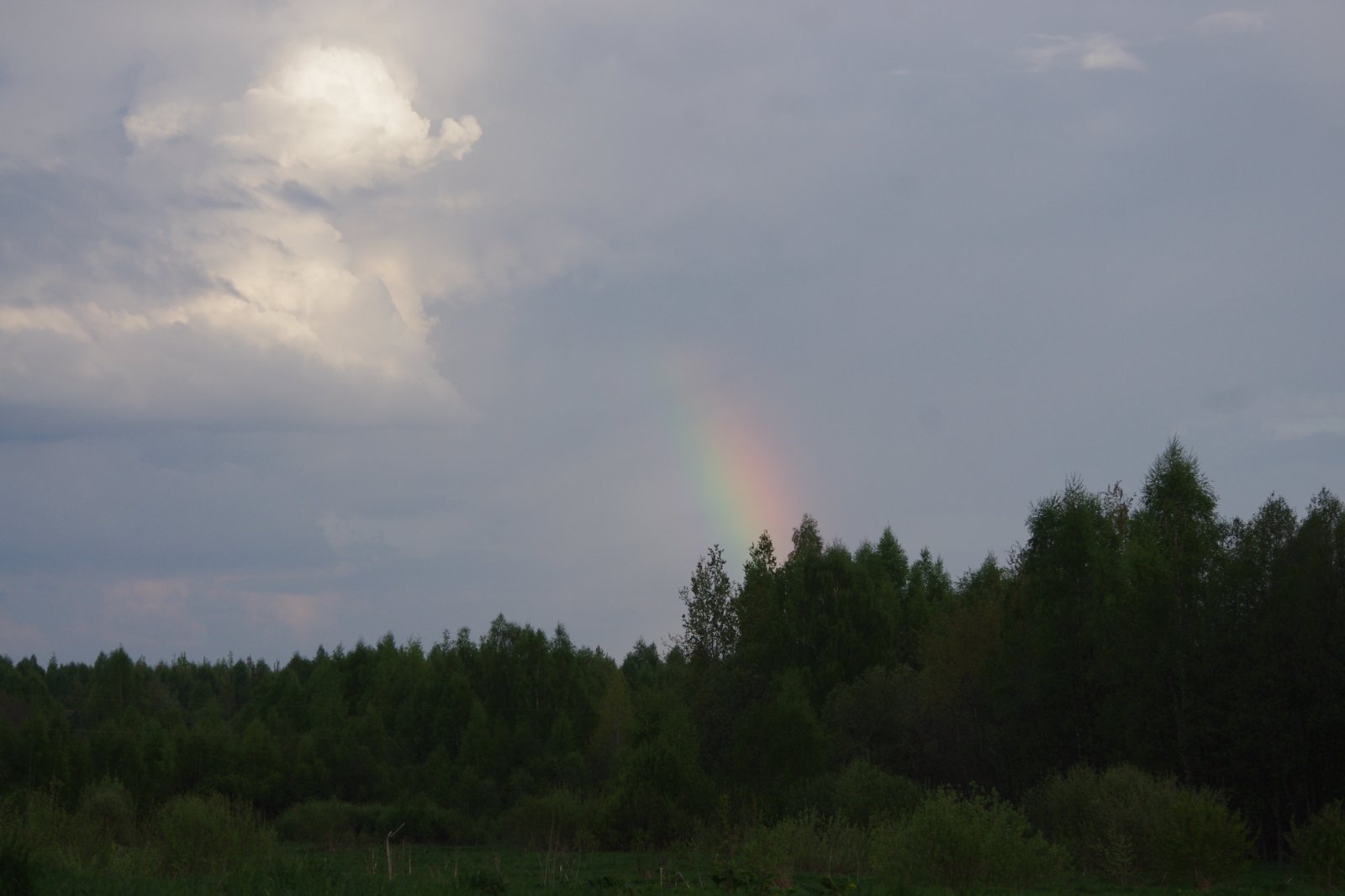 IMGP0106.JPG