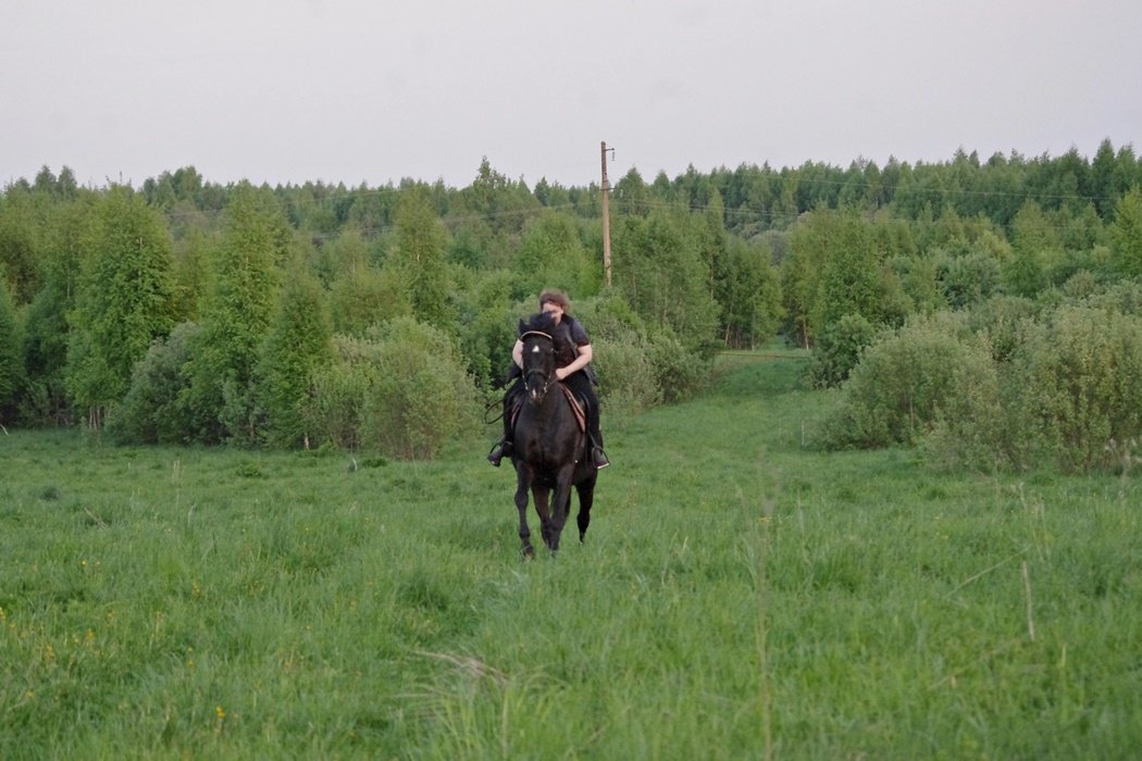 IMGP0175.JPG