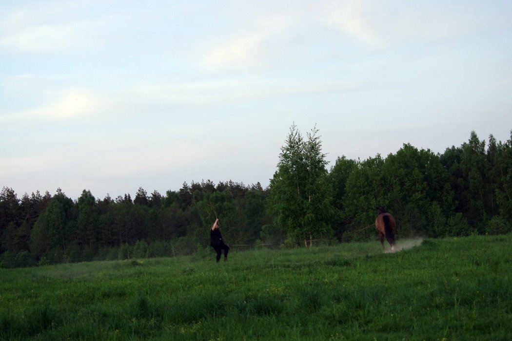 IMGP0219.JPG