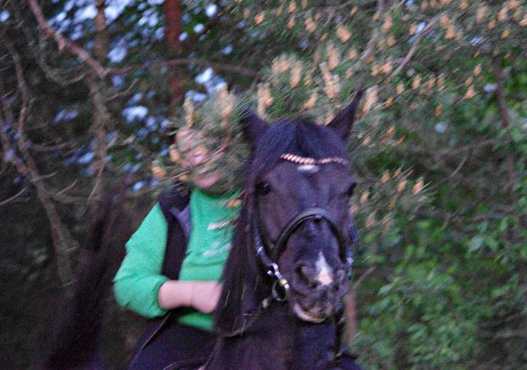 IMGP0318.JPG
