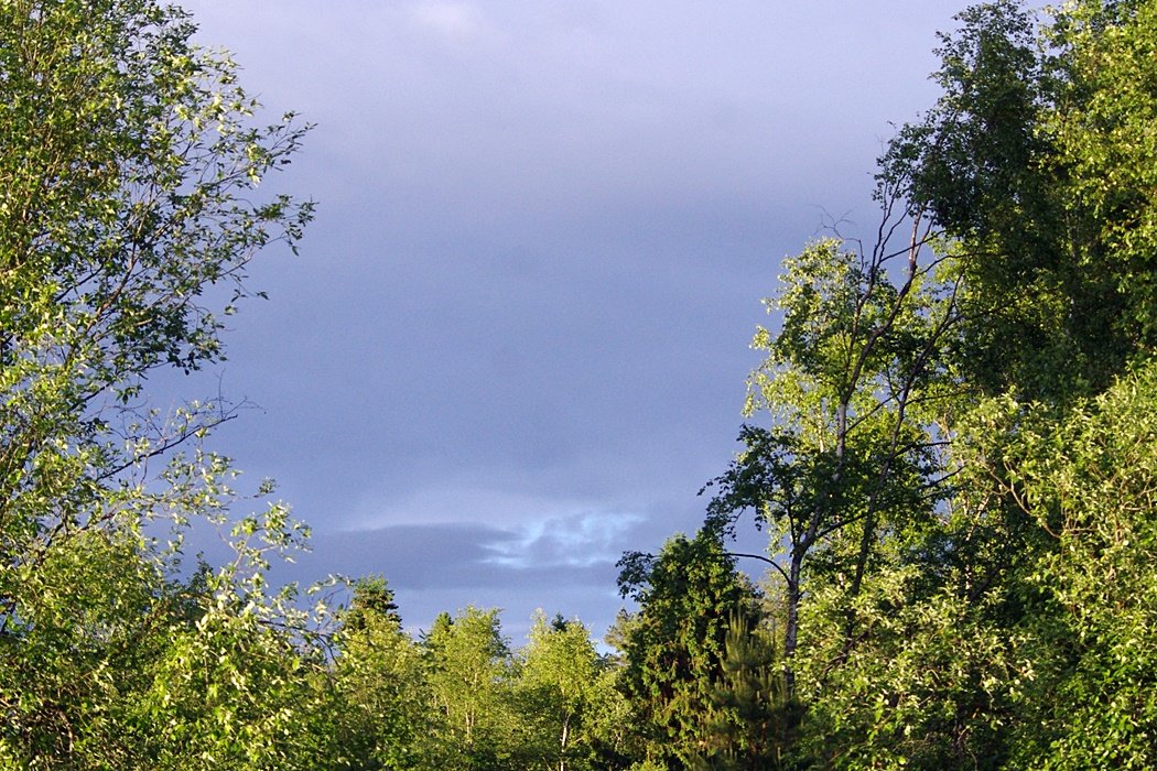 IMGP0472.JPG