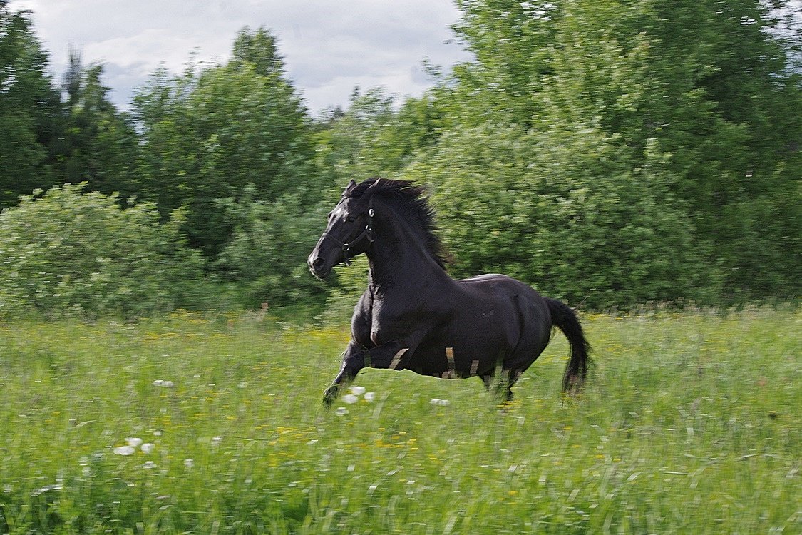 IMGP0538.JPG