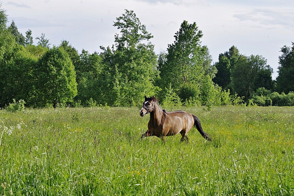 IMGP0545.JPG