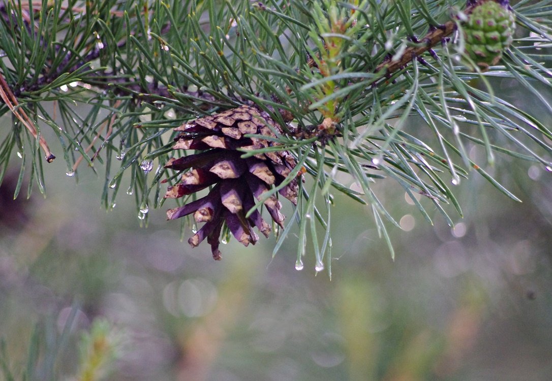 IMGP0702.JPG