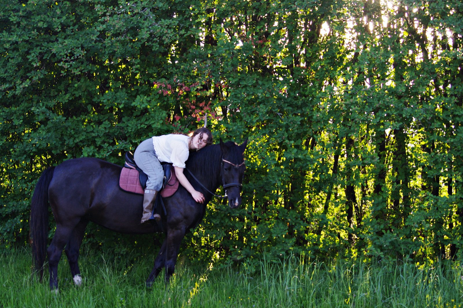 IMGP0785.JPG