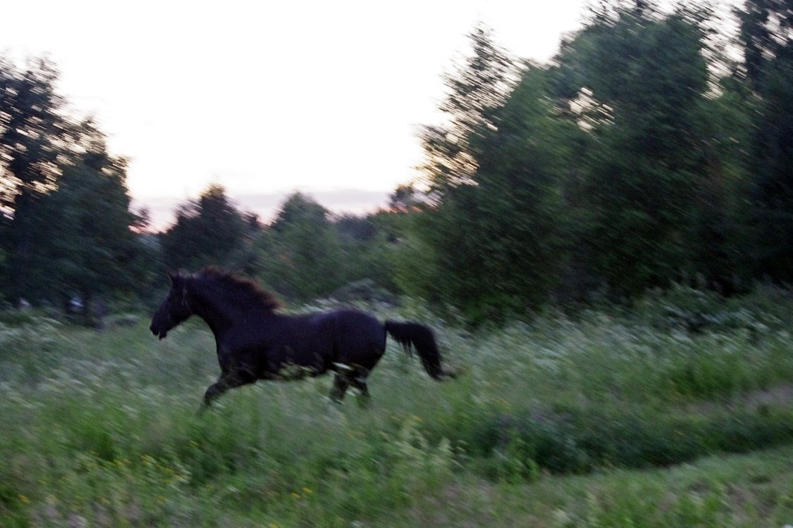 IMGP1068.JPG