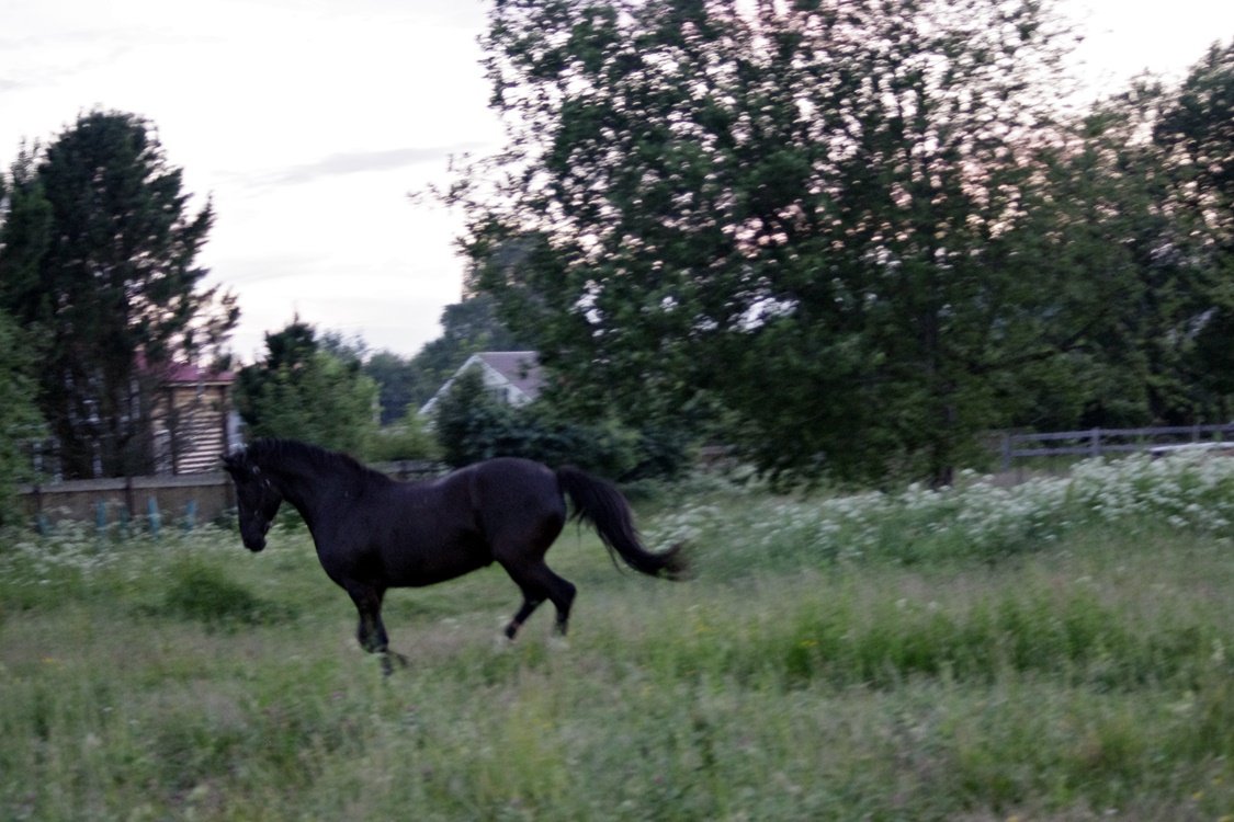 IMGP1070.JPG