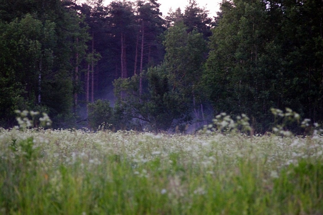 IMGP1115.JPG