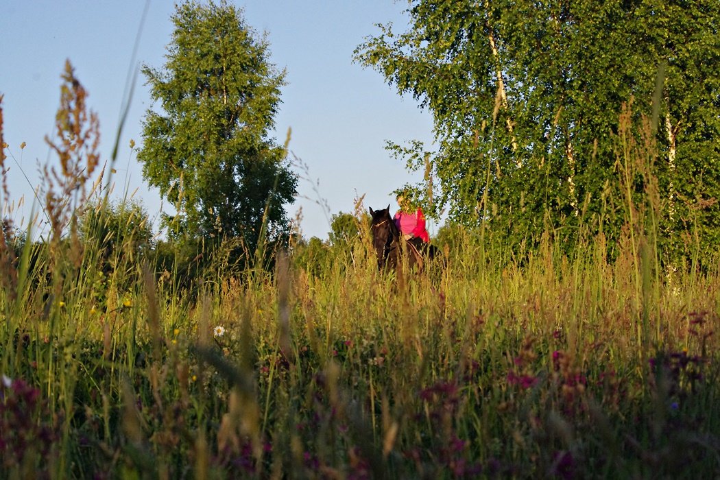 IMGP1131.JPG