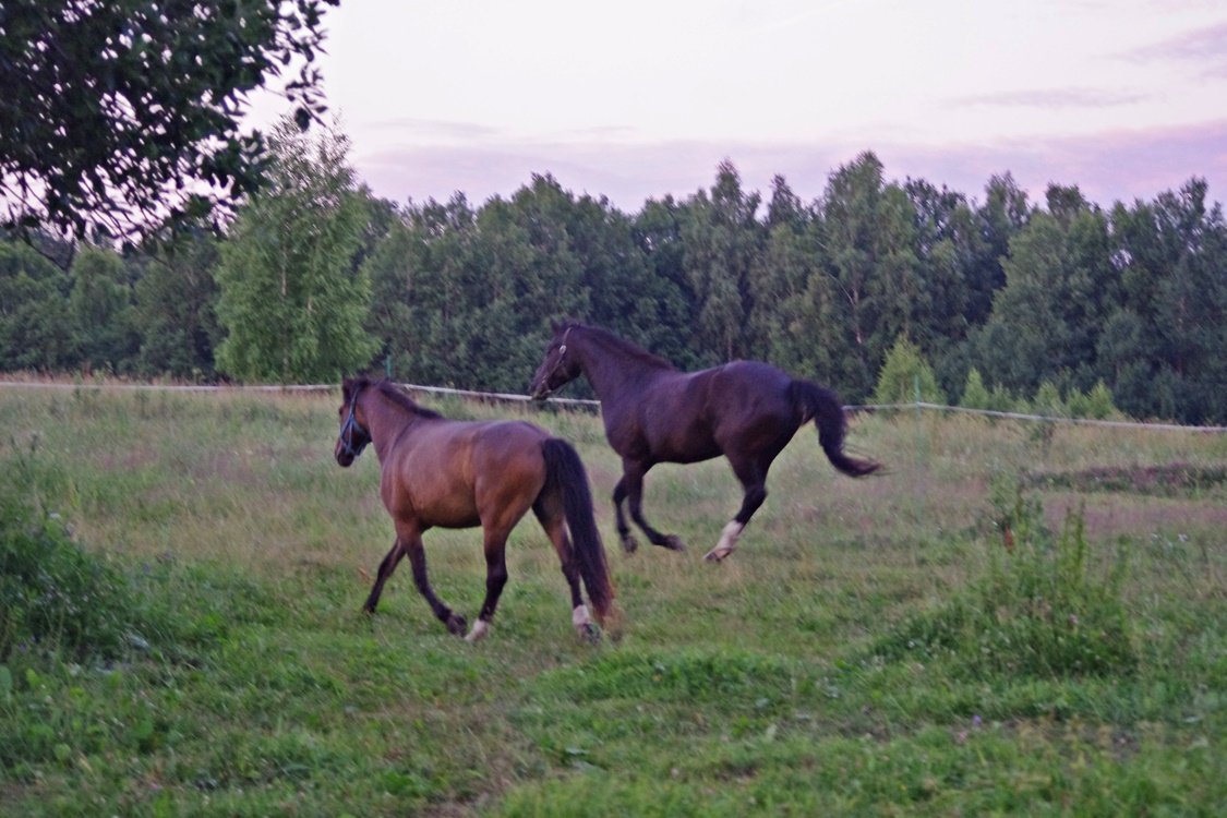 IMGP1214.JPG