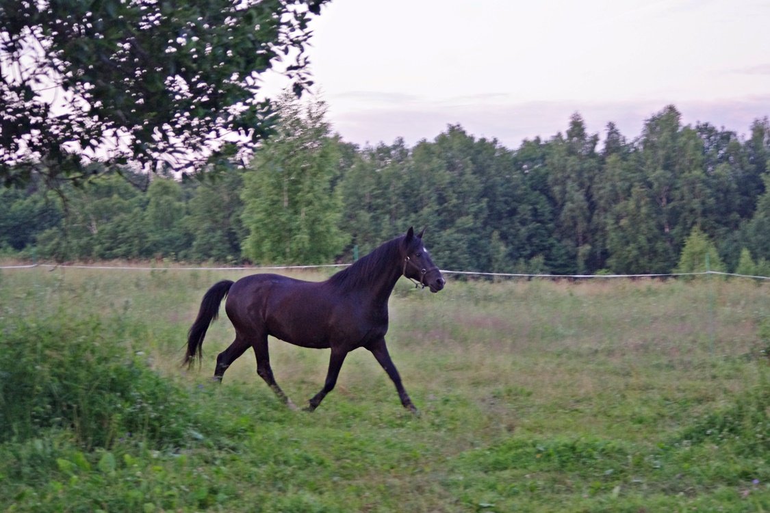 IMGP1216.JPG