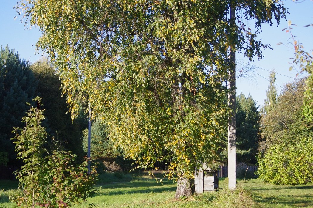 IMGP1282.JPG