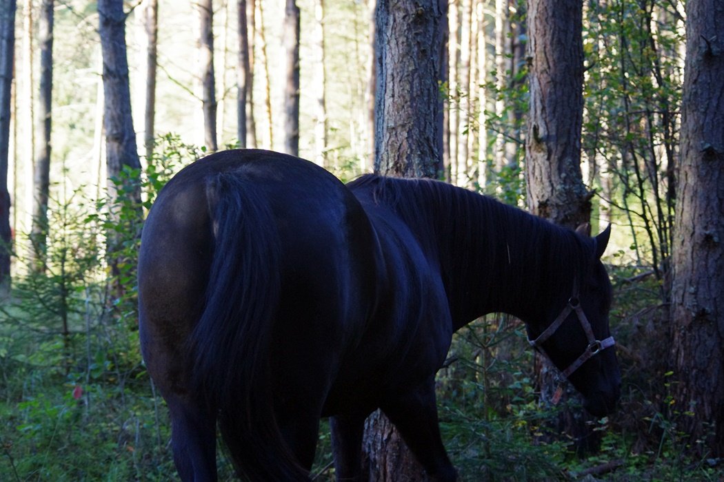 IMGP1315.JPG