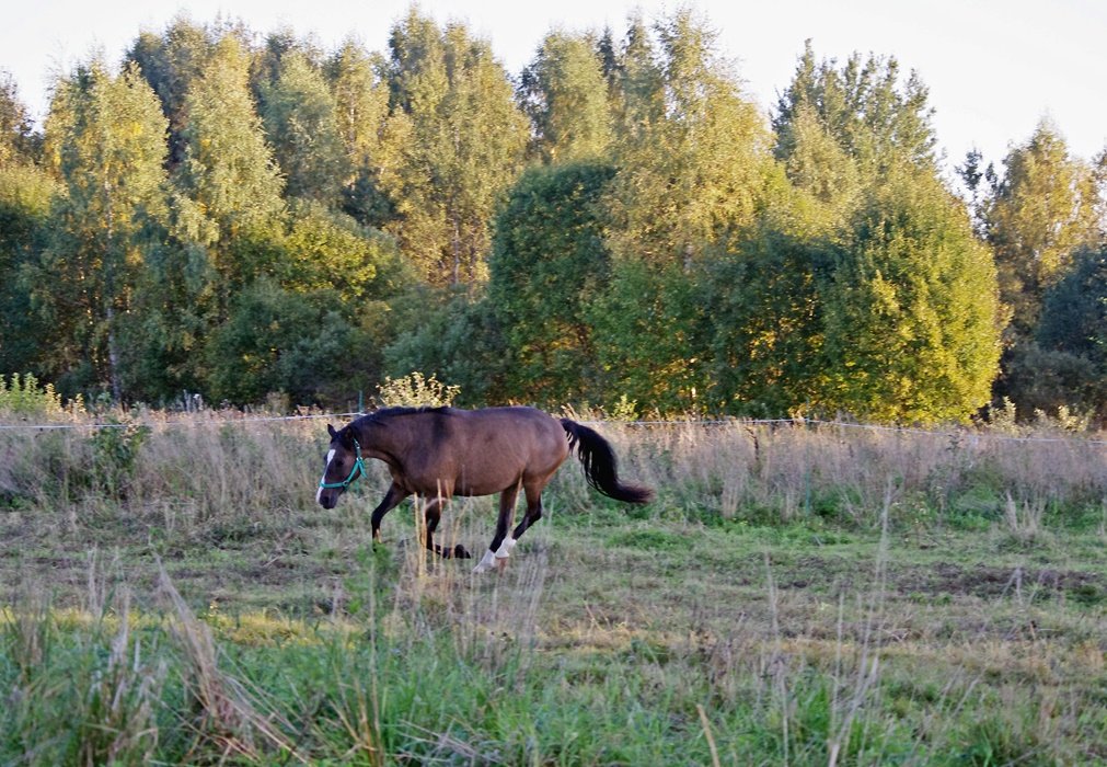 IMGP1454.JPG