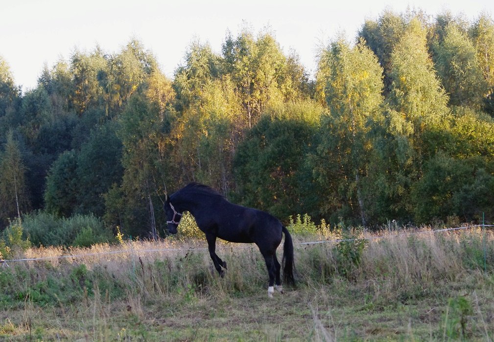 IMGP1490.JPG