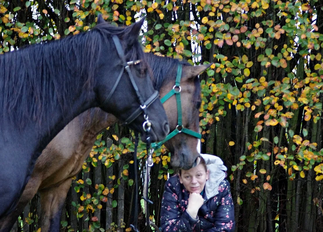 IMGP1550.webp