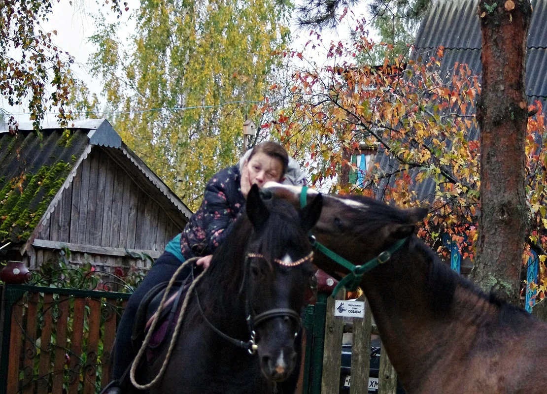 IMGP1590.webp