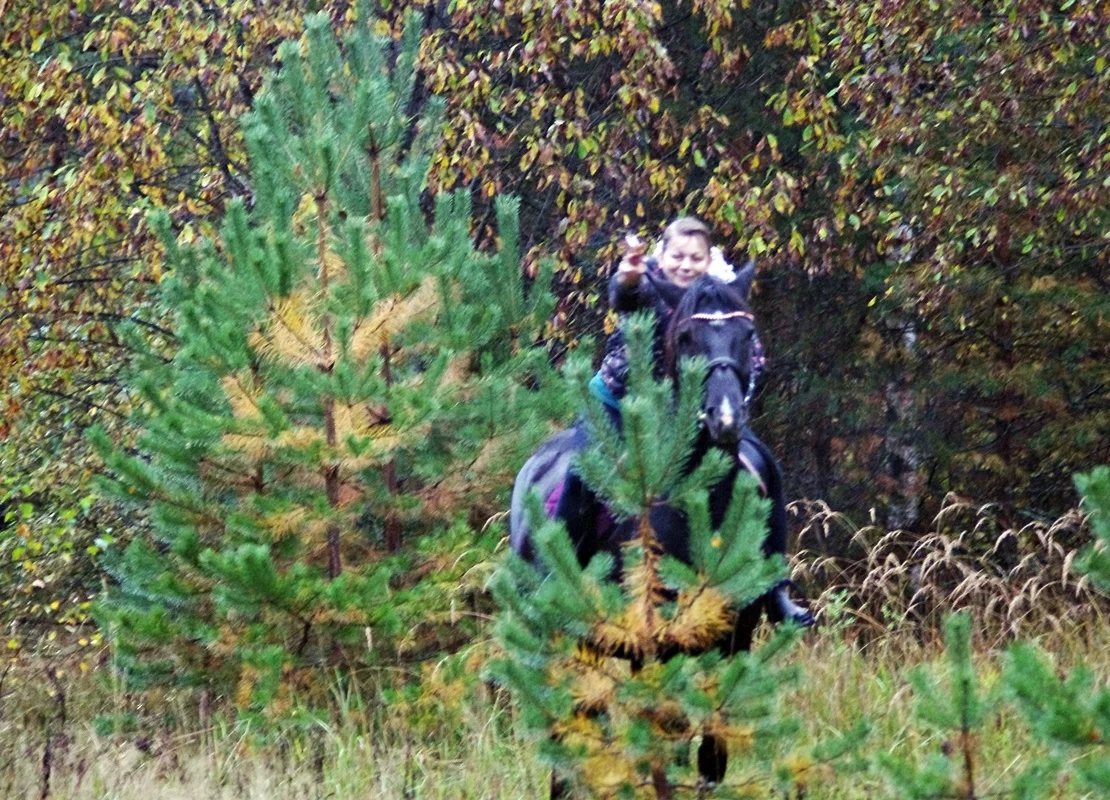 IMGP1639.webp